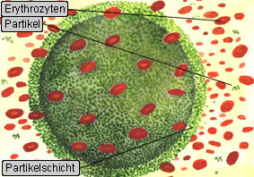 Zeichnung 4