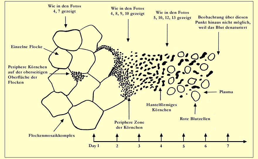 Zeichnung 2