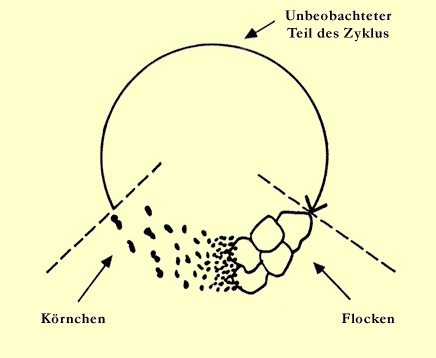 Zeichnung 3